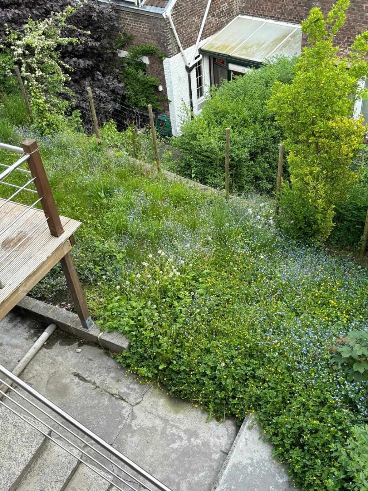 Petit Nid Vintage Avec Terrasse * Lüttich